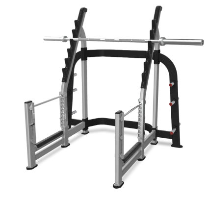 Nautilus Squat Rack